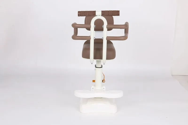 Electric Bicycle Child Seat