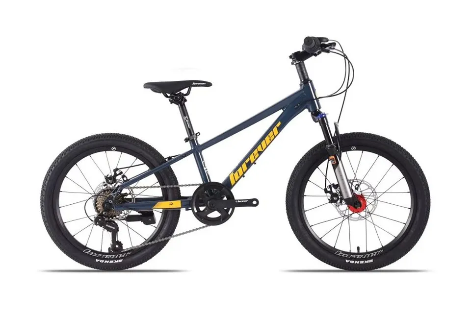 Men And Women Mountain Bike