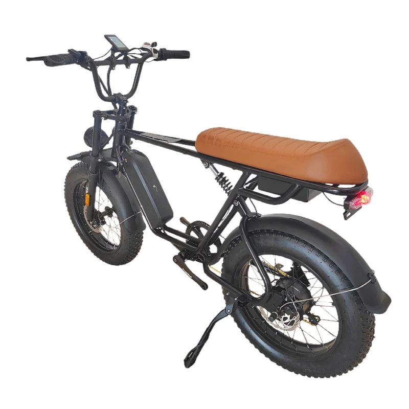 Eletric Fat Bike