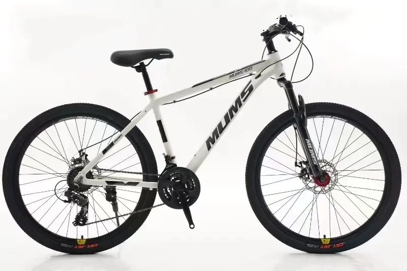 Begynder mountainbike